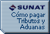 Informacin sobre cmo pagar tributos y aduanas